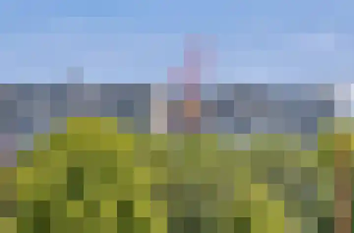 Akkerwinde 216 Capelle aan den IJssel thumbnail 24