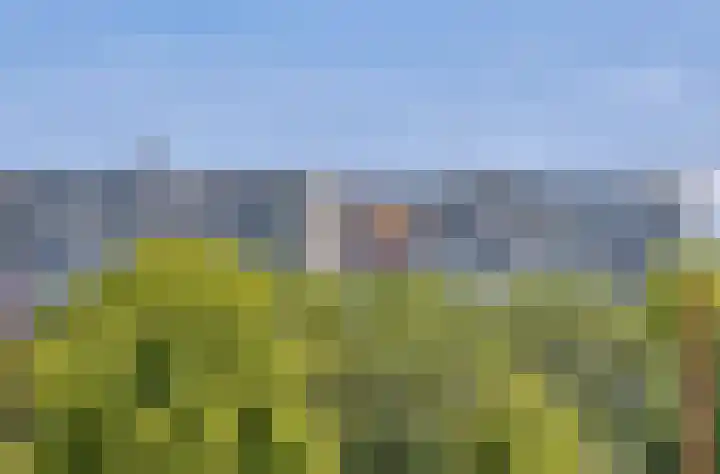 Akkerwinde 216 Capelle aan den IJssel thumbnail 27