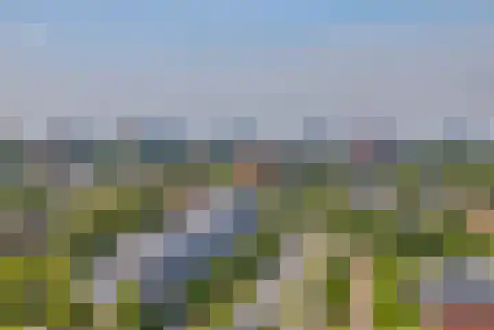 Akkerwinde 216 Capelle aan den IJssel thumbnail 4