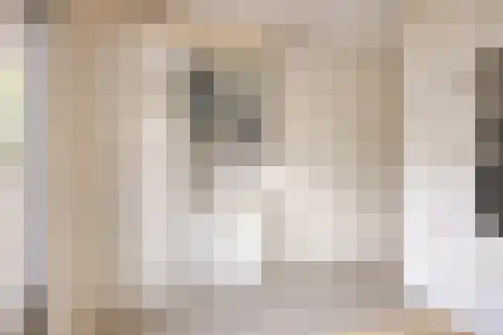Akkerwinde 222 Capelle aan den IJssel thumbnail 12
