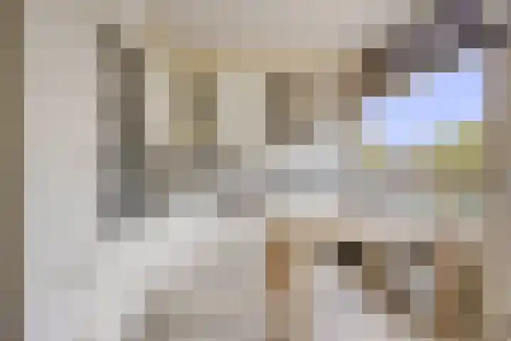 Akkerwinde 222 Capelle aan den IJssel thumbnail 13