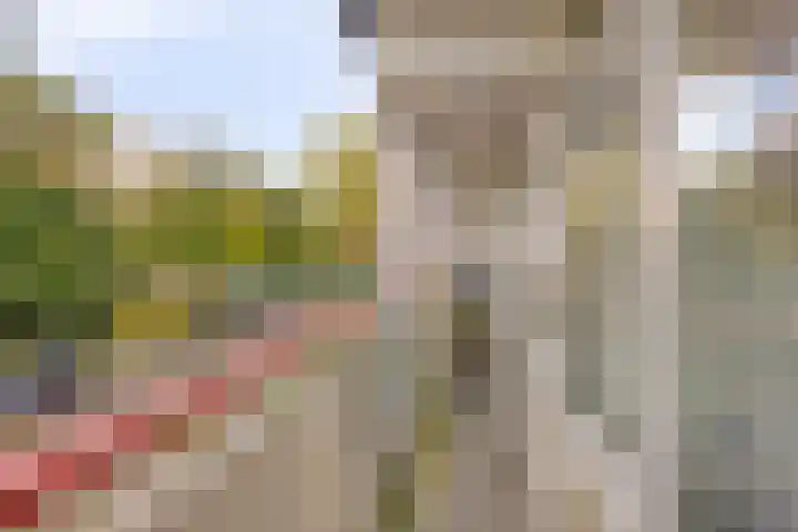 Akkerwinde 222 Capelle aan den IJssel thumbnail 20