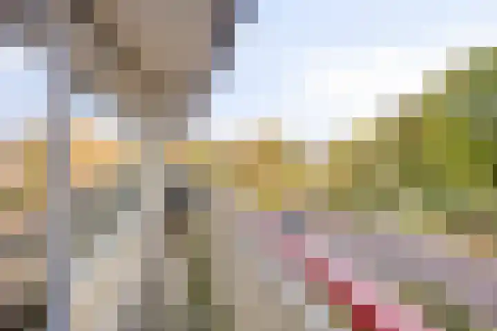 Akkerwinde 222 Capelle aan den IJssel thumbnail 21