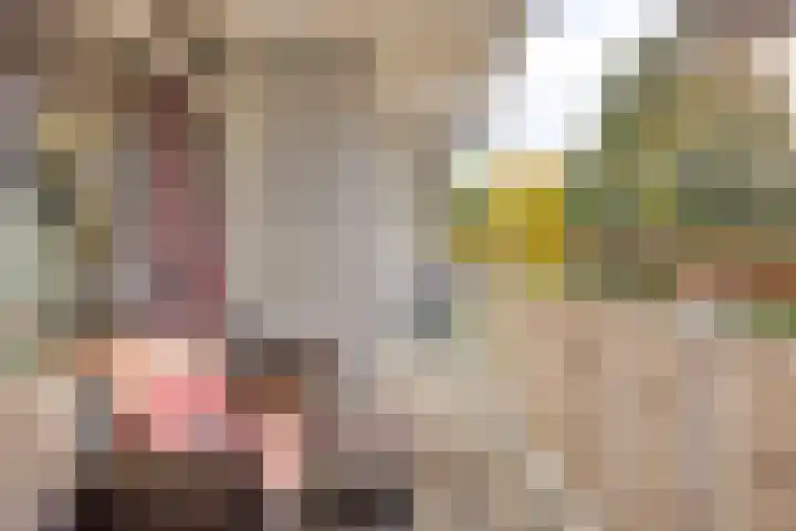 Akkerwinde 222 Capelle aan den IJssel thumbnail 24