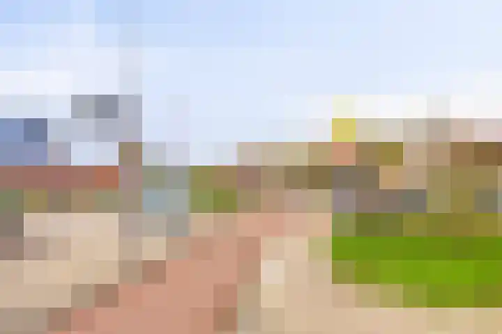 Akkerwinde 222 Capelle aan den IJssel thumbnail 25