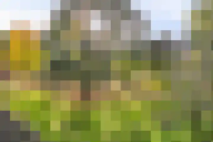 Akkerwinde 222 Capelle aan den IJssel thumbnail 26