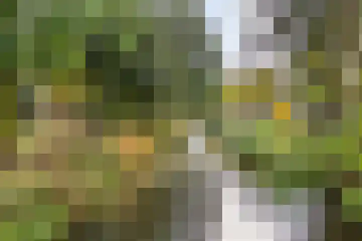 Akkerwinde 222 Capelle aan den IJssel thumbnail 27
