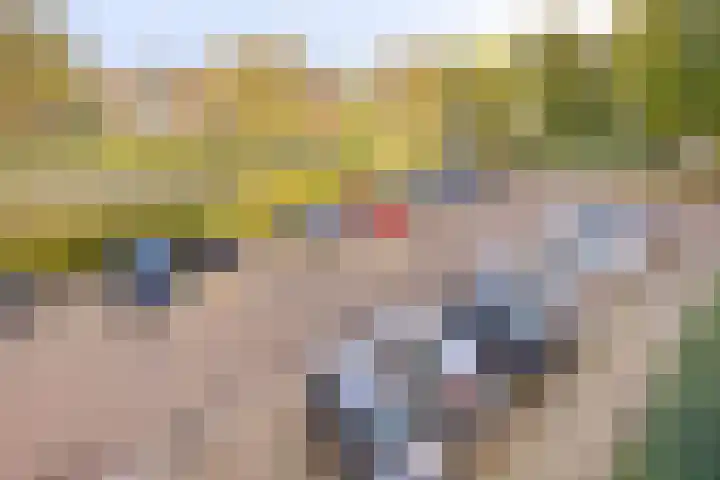 Akkerwinde 222 Capelle aan den IJssel thumbnail 29