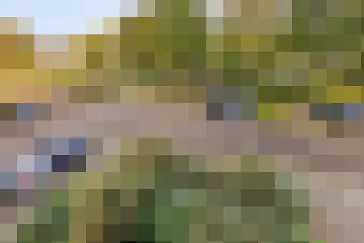 Akkerwinde 222 Capelle aan den IJssel thumbnail 30