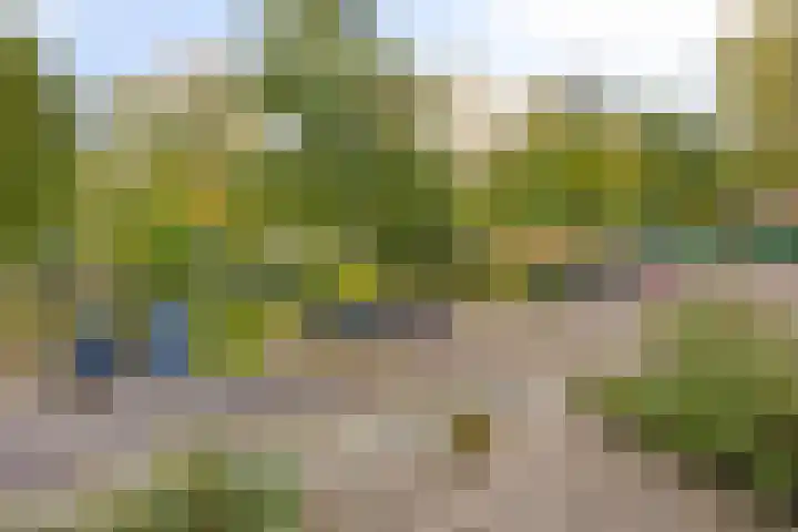 Akkerwinde 222 Capelle aan den IJssel thumbnail 31