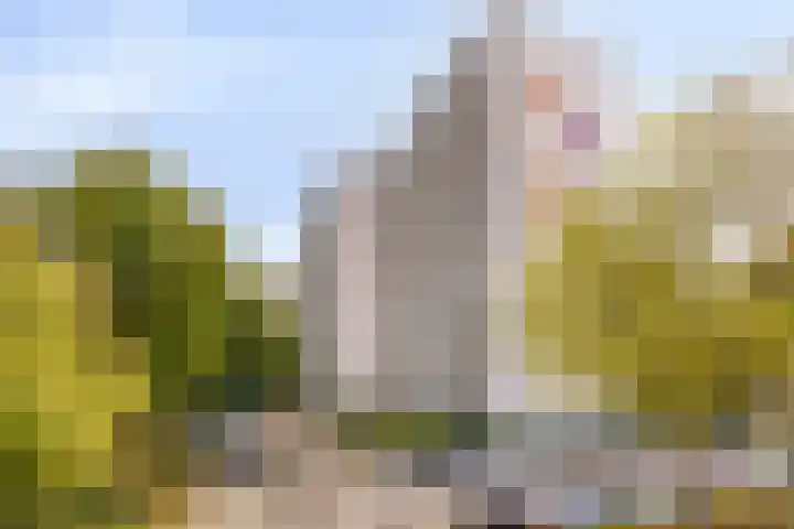 Akkerwinde 222 Capelle aan den IJssel thumbnail 32