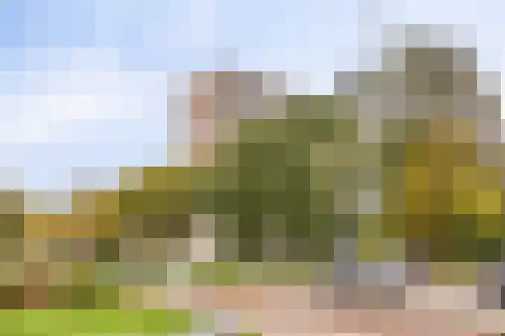Akkerwinde 222 Capelle aan den IJssel thumbnail 33
