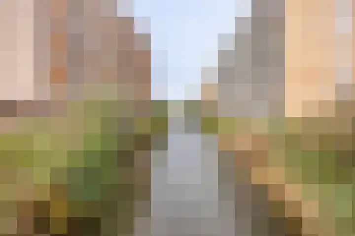 Akkerwinde 222 Capelle aan den IJssel thumbnail 34