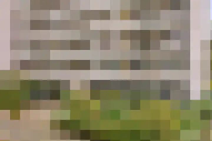 Akkerwinde 222 Capelle aan den IJssel thumbnail 35