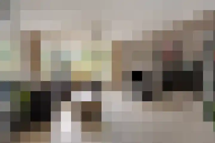 Akkerwinde 222 Capelle aan den IJssel thumbnail 6