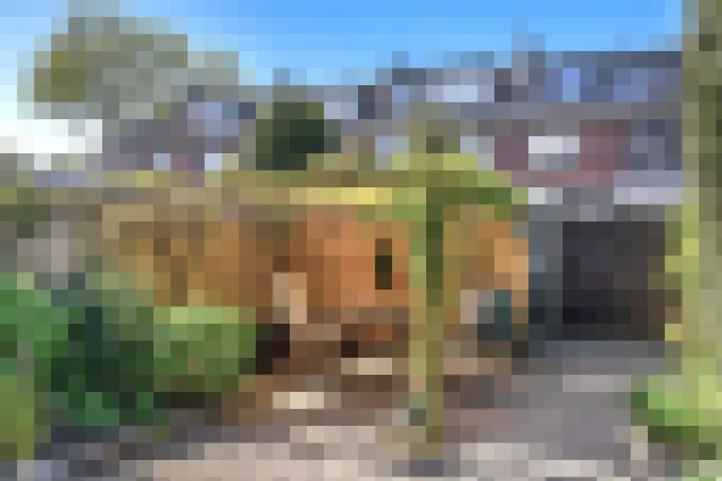 Akkerwinde 23 Waddinxveen thumbnail 22