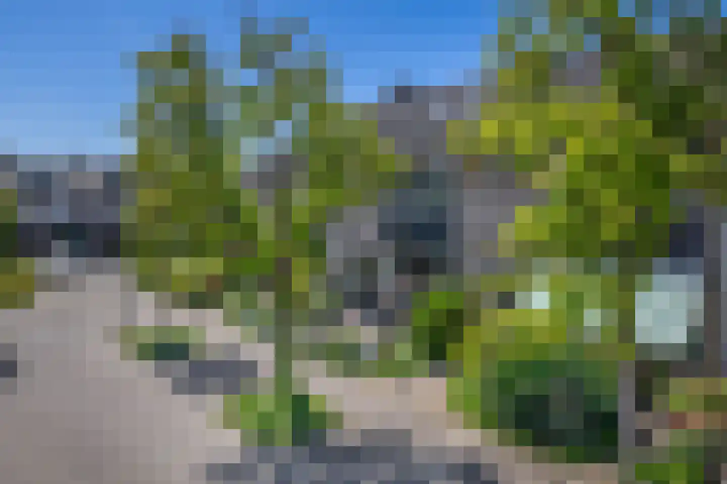 Akkerwinde 23 Waddinxveen thumbnail 37