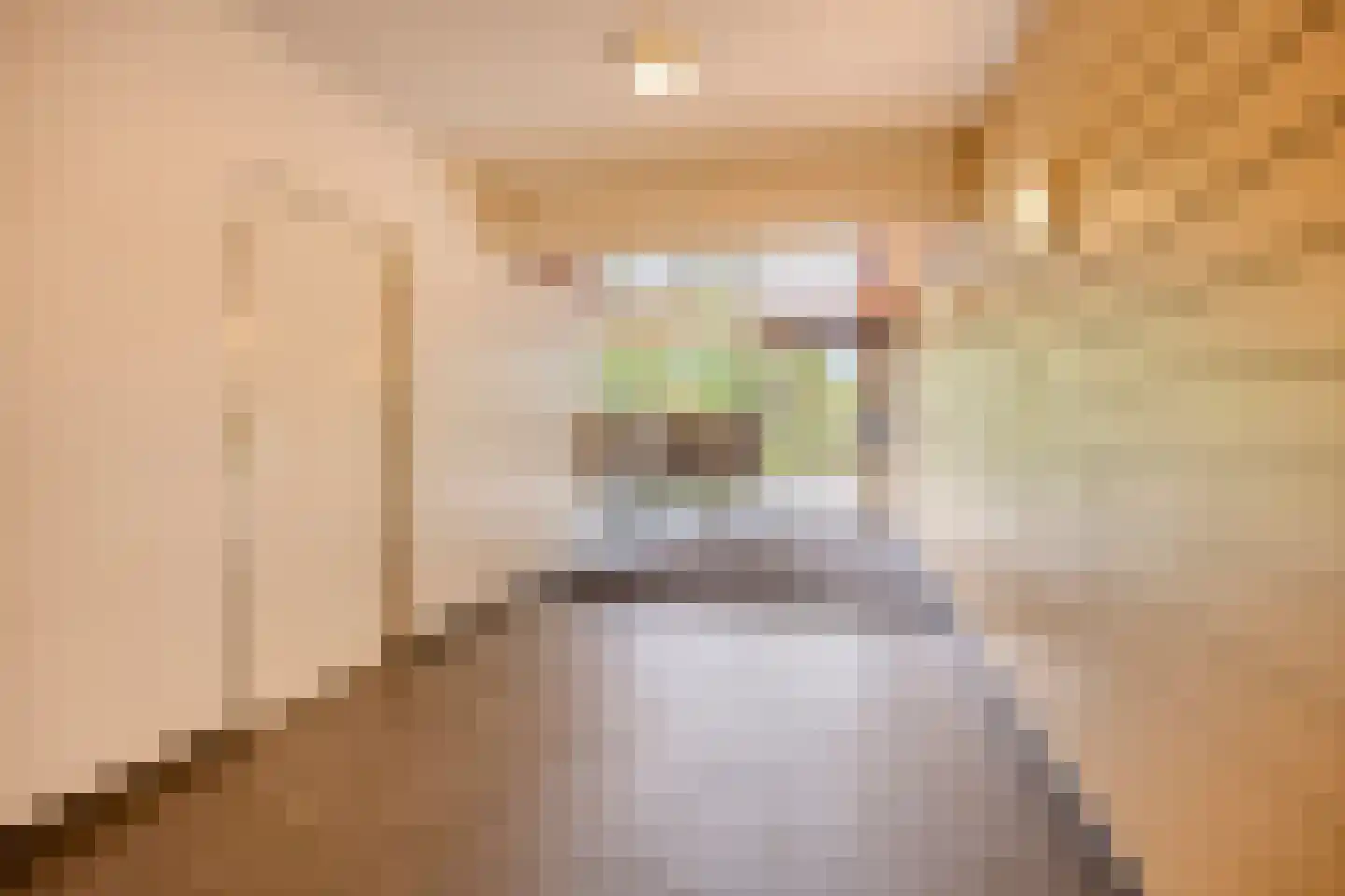 Akkerwinde 251 Capelle aan den IJssel thumbnail 27