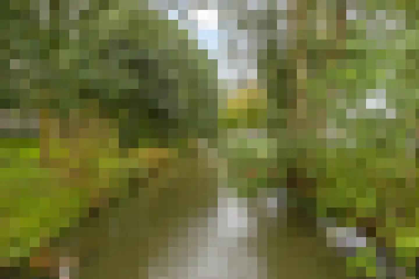 Akkerwinde 251 Capelle aan den IJssel thumbnail 37