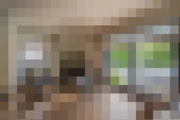 Akkerwinde 28 Venlo thumbnail 10