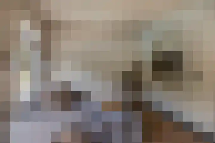 Akkerwinde 28 Venlo thumbnail 13
