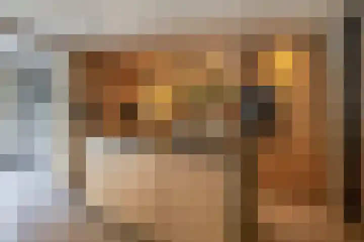 Akkerwinde 28 Venlo thumbnail 15