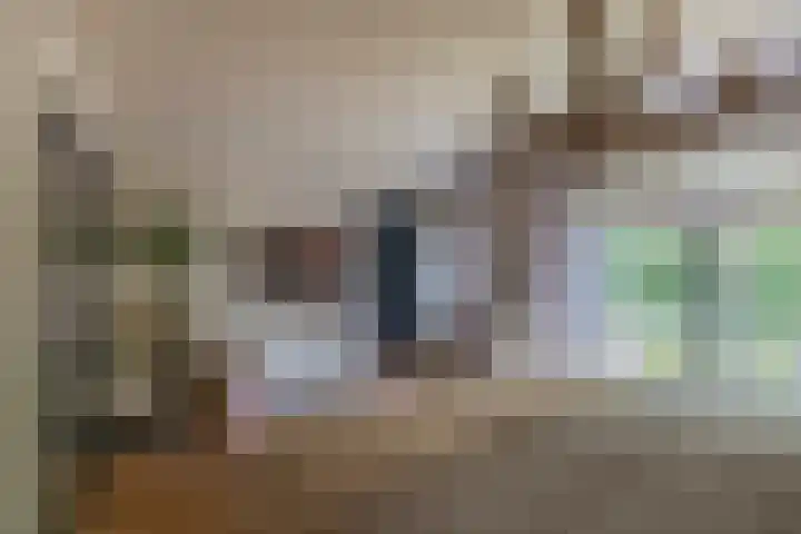 Akkerwinde 28 Venlo thumbnail 21