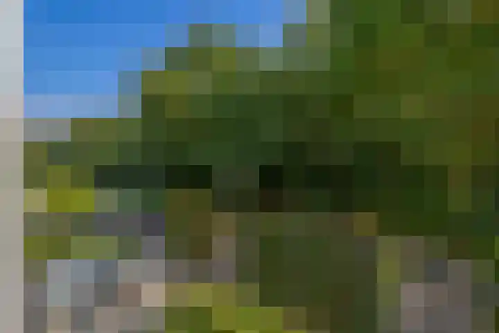 Akkerwinde 28 Venlo thumbnail 22