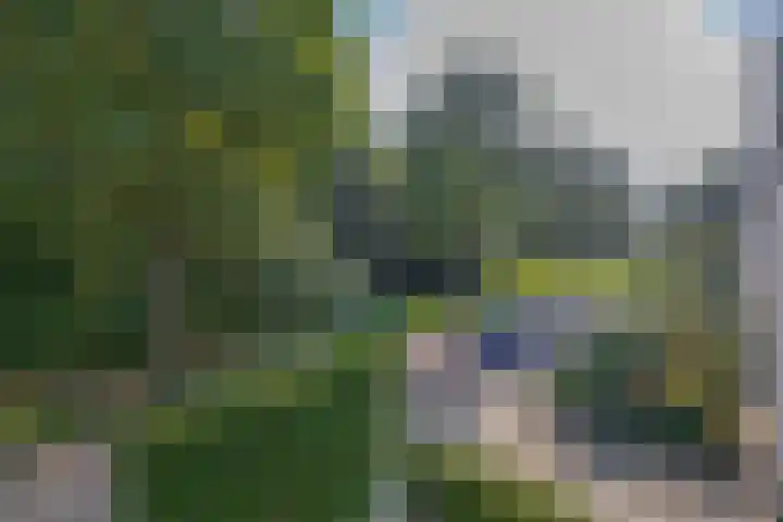 Akkerwinde 28 Venlo thumbnail 23