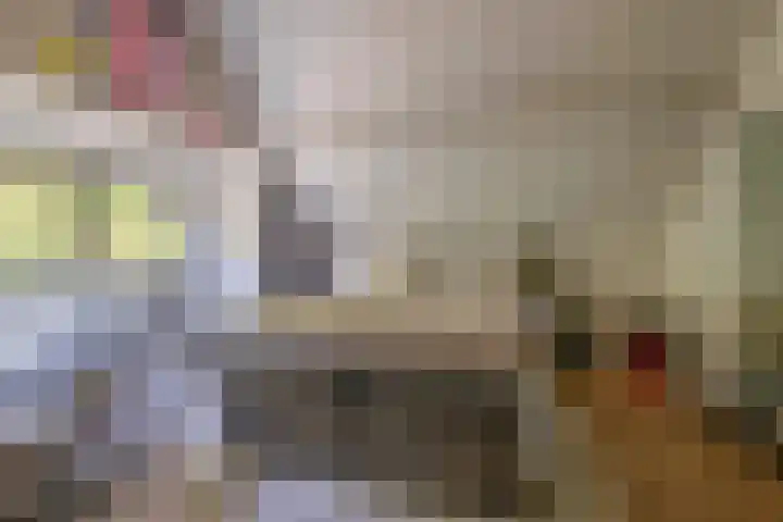 Akkerwinde 28 Venlo thumbnail 29