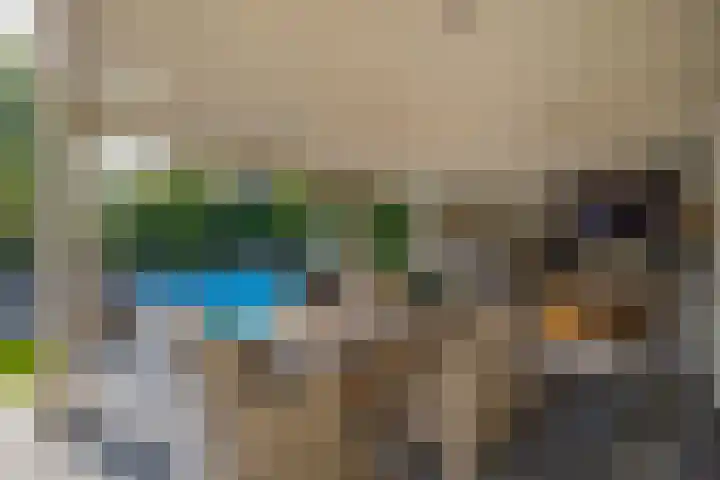 Akkerwinde 28 Venlo thumbnail 32