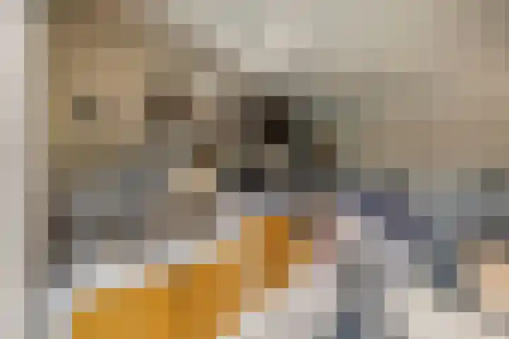 Akkerwinde 28 Venlo thumbnail 39