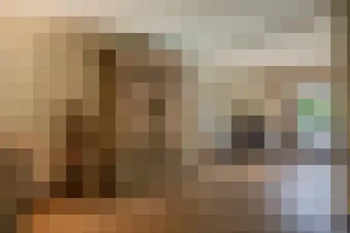 Akkerwinde 28 Venlo thumbnail 9