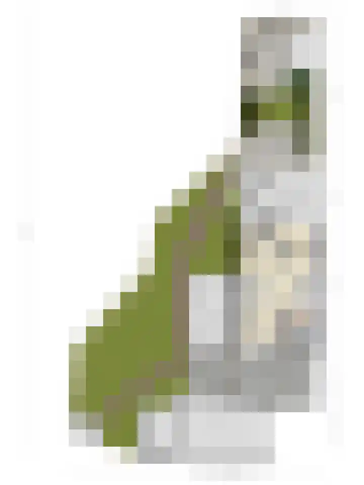 Akkerwinde 29 Landgraaf thumbnail 38