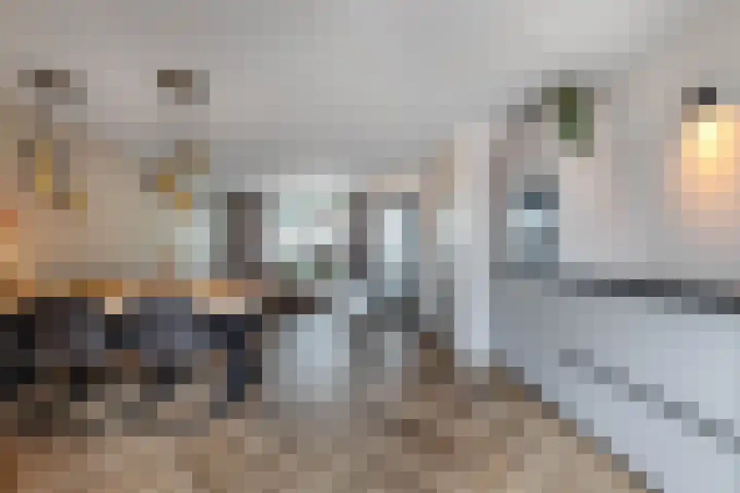 Akkerwinde 29 Sneek thumbnail 20