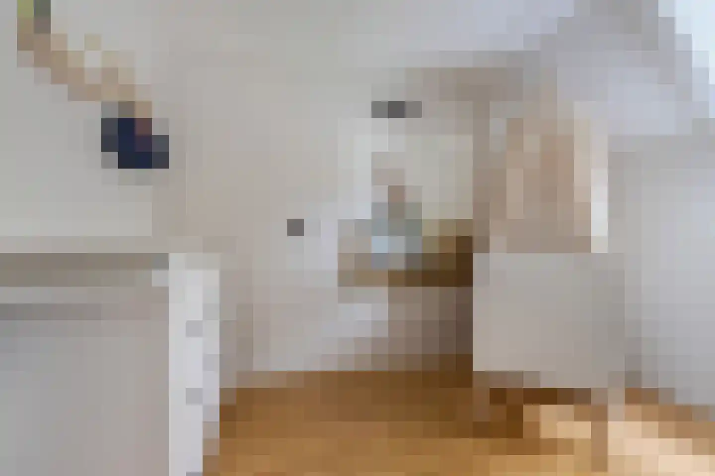 Akkerwinde 29 Sneek thumbnail 24