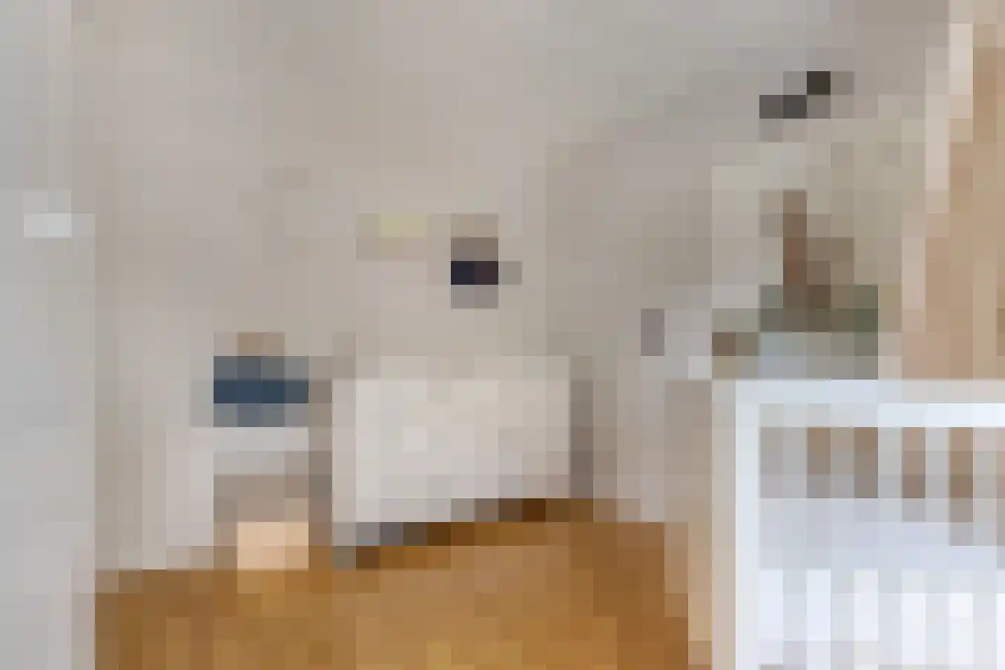 Akkerwinde 29 Sneek thumbnail 25