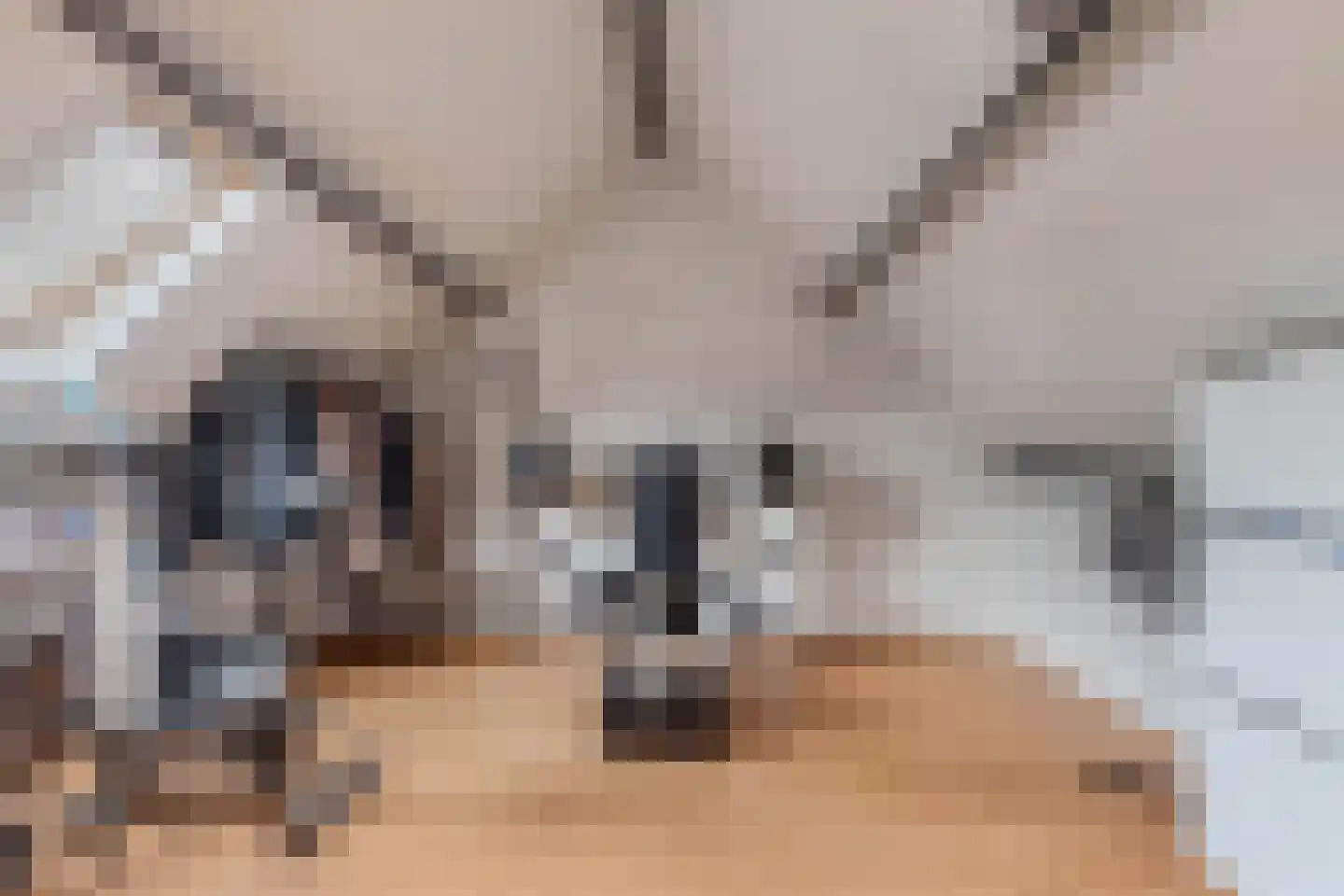 Akkerwinde 29 Sneek thumbnail 30