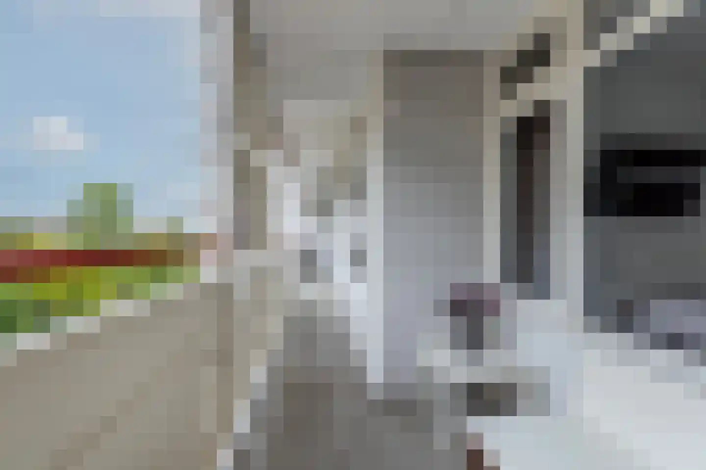Akkerwinde 292 Capelle aan den IJssel thumbnail 24
