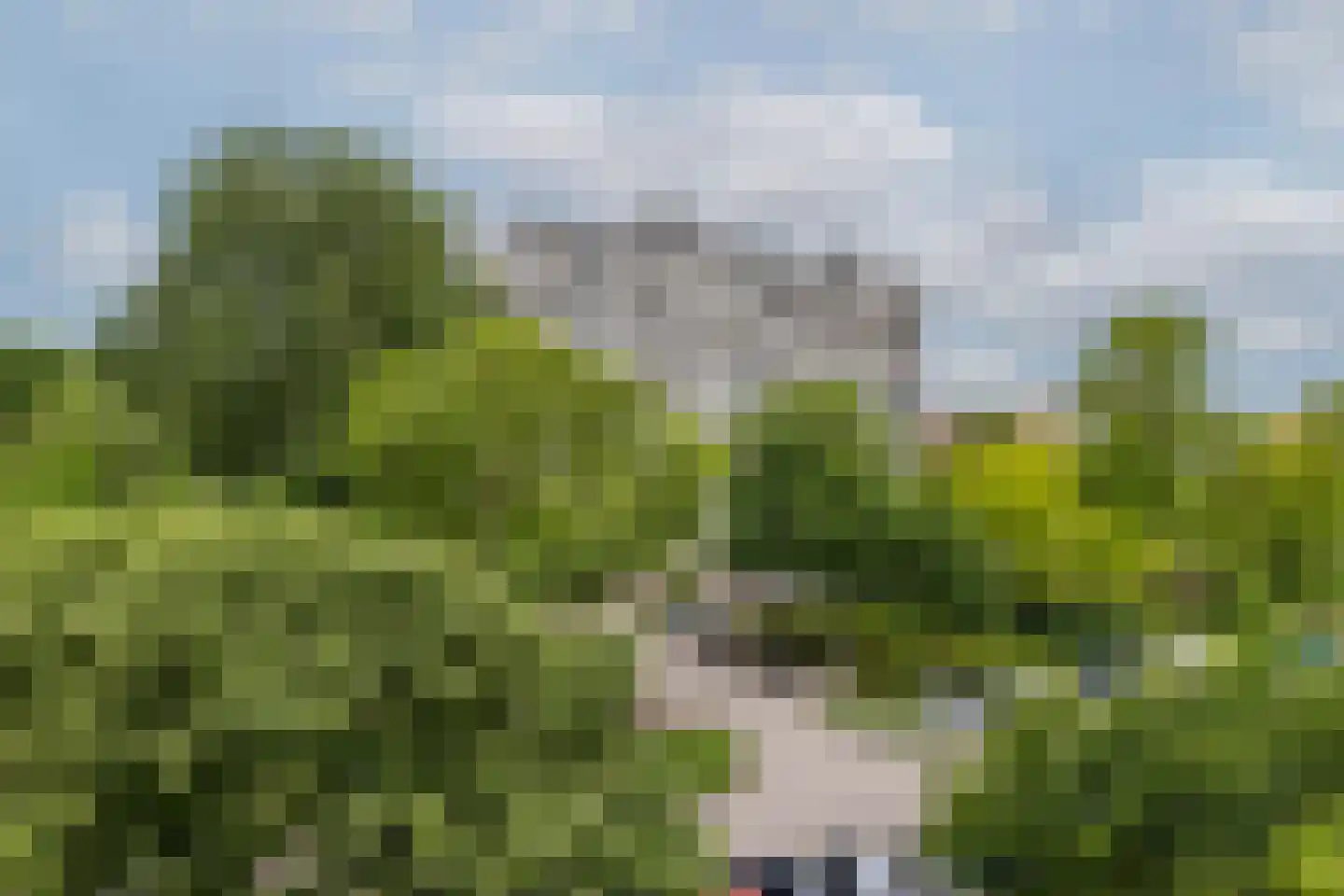 Akkerwinde 292 Capelle aan den IJssel thumbnail 26