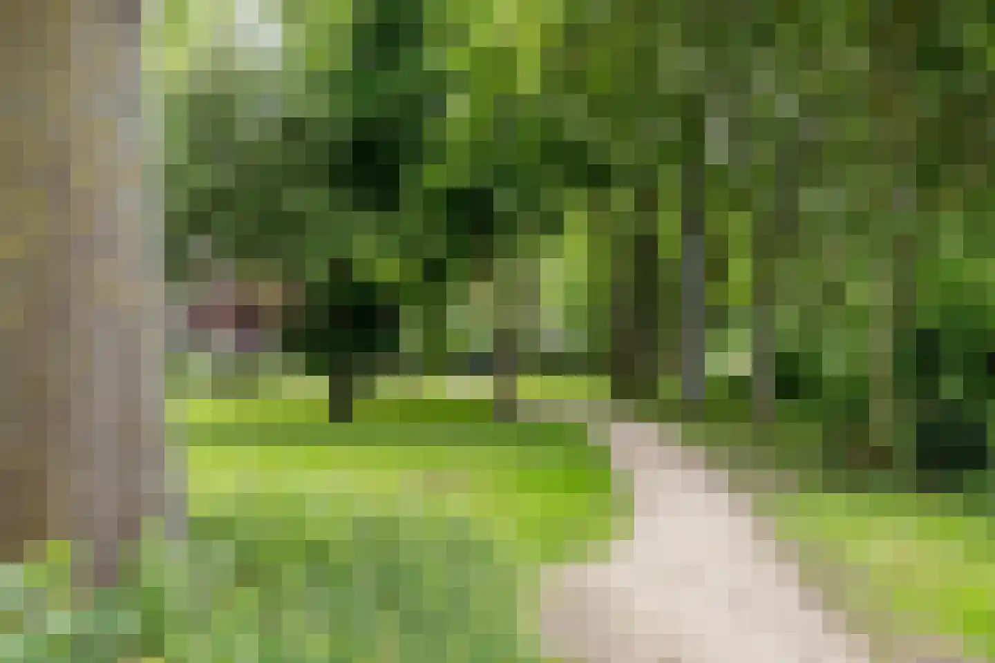 Akkerwinde 292 Capelle aan den IJssel thumbnail 37