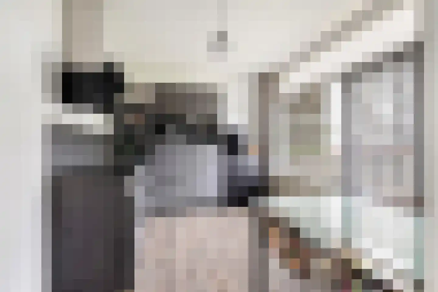 Akkerwinde 292 Capelle aan den IJssel thumbnail 5