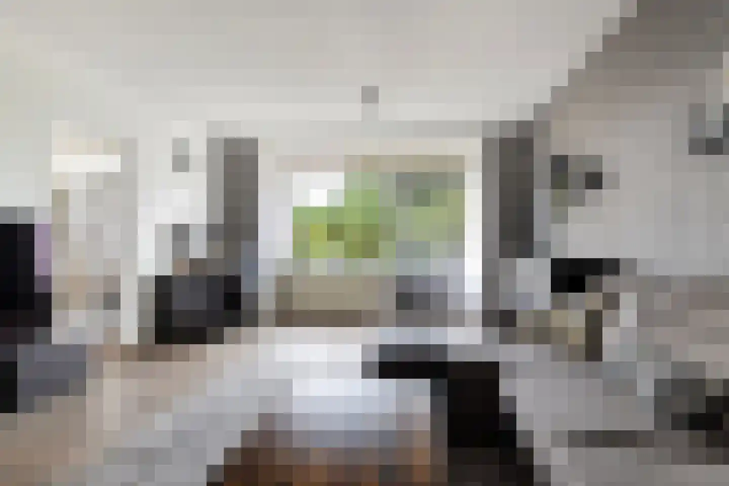 Akkerwinde 292 Capelle aan den IJssel thumbnail 6