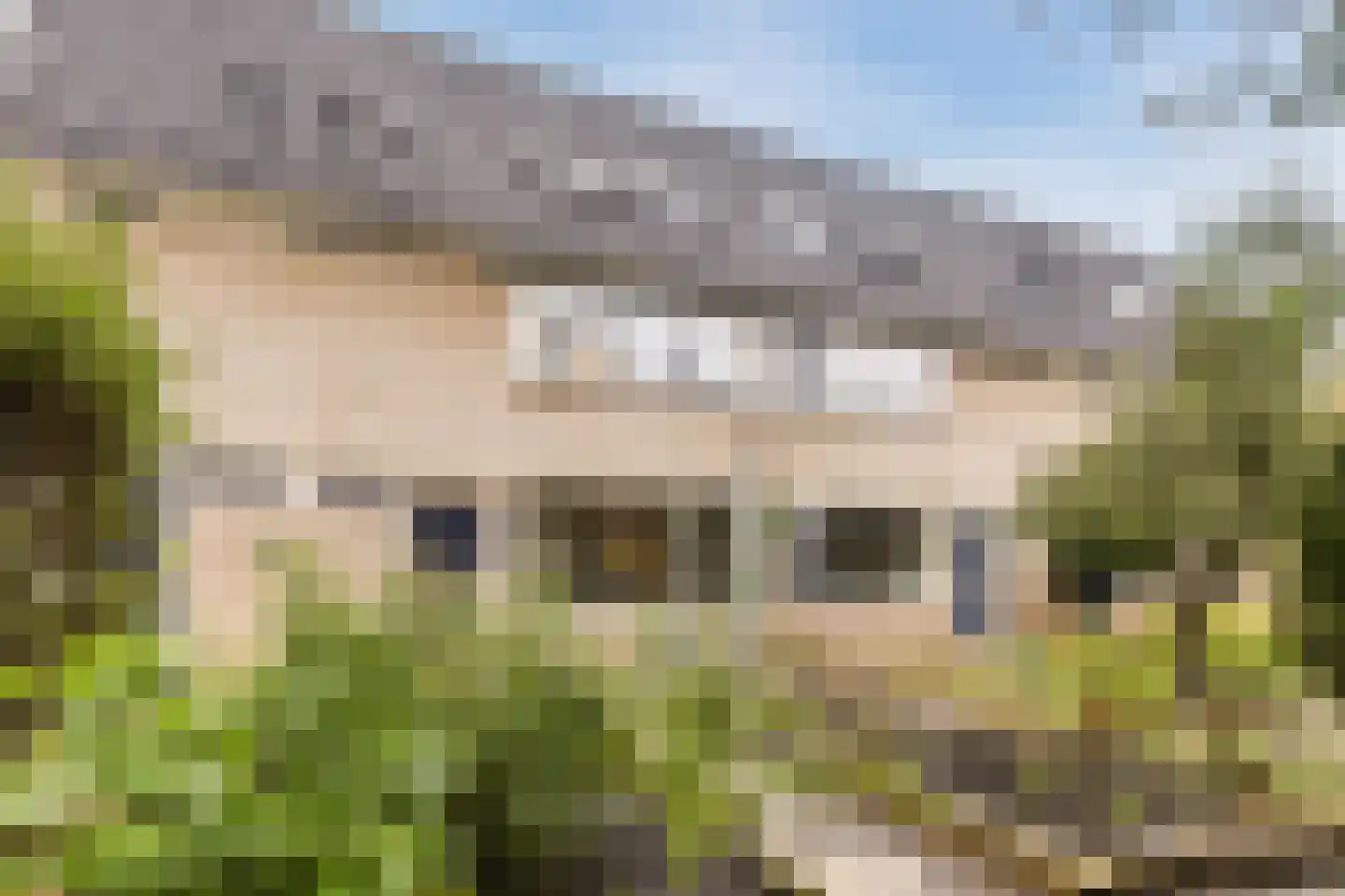Akkerwinde 3 Culemborg thumbnail 41