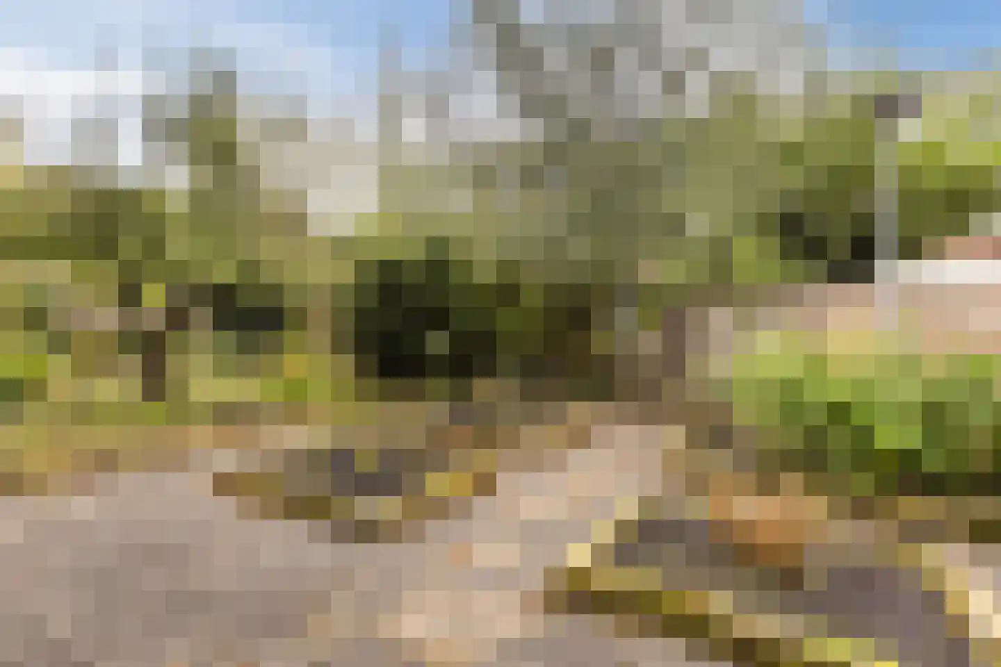 Akkerwinde 3 Culemborg thumbnail 42