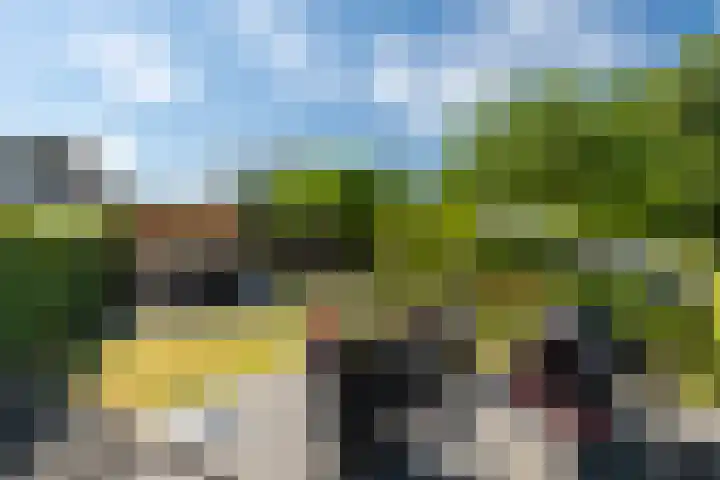 Akkerwinde 3 Landgraaf thumbnail 26