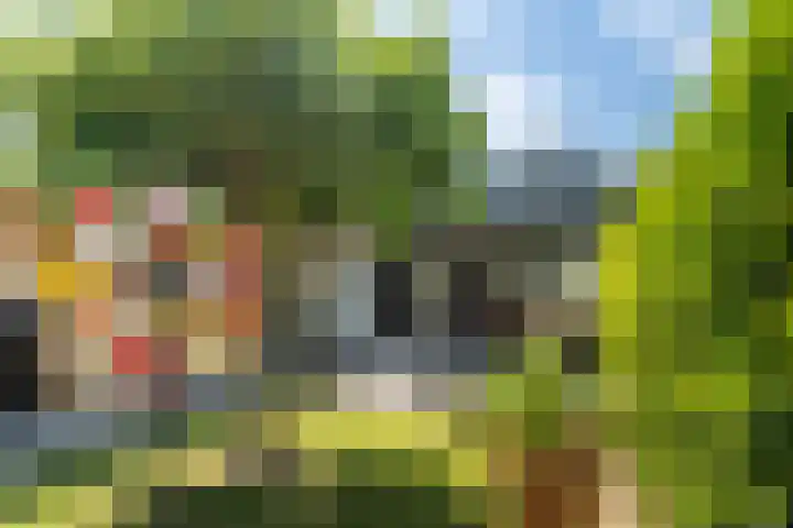 Akkerwinde 3 Landgraaf thumbnail 27