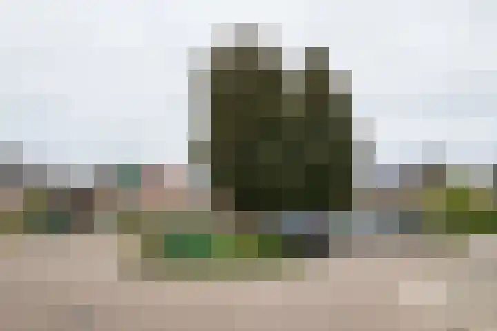 Akkerwinde 30 Hengelo (Gld) thumbnail 64