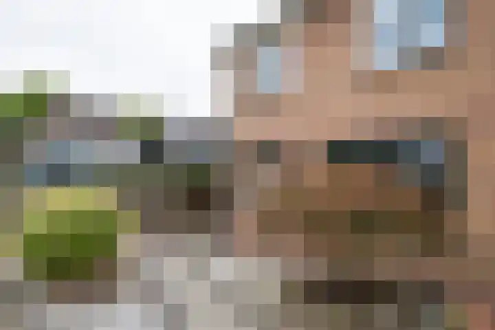 Akkerwinde 30 Hengelo (Gld) thumbnail 8