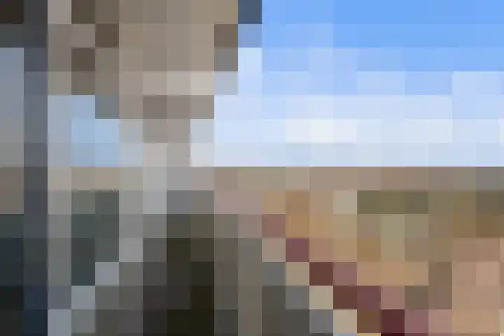 Akkerwinde 306 Capelle aan den IJssel thumbnail 28